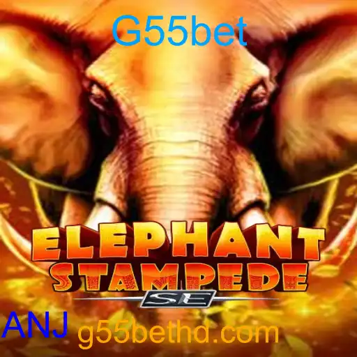 ElephantStampedeSE